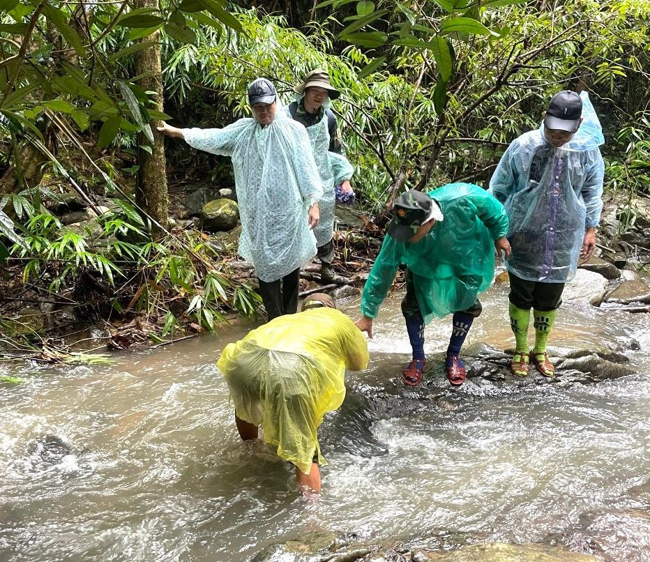 Để tiếp cận hiện trường, lực lượng chức năng của huyện Sa Thầy gặp rất nhiều khó khăn vì địa hình hiểm trở. Phải đi gần 4 giờ đồng hồ họ mới đến nơi xảy ra vụ khai thác lâm sản này. Để tiếp cận hiện trường, lực lượng chức năng của huyện Sa Thầy gặp rất nhiều khó khăn vì địa hình hiểm trở. Phải đi gần 4 giờ đồng hồ họ mới đến nơi xảy ra vụ khai thác lâm sản này.