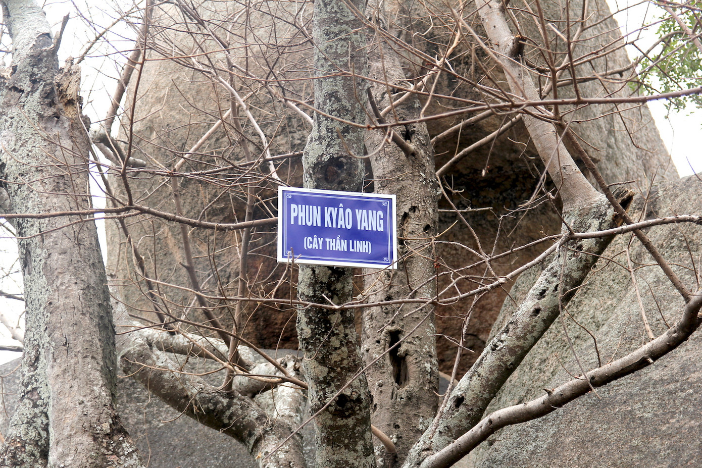 Quanh ngọn núi Chư Tao Yang có vô số những tảng đá khổng lồ mang hình thù kỳ lạ