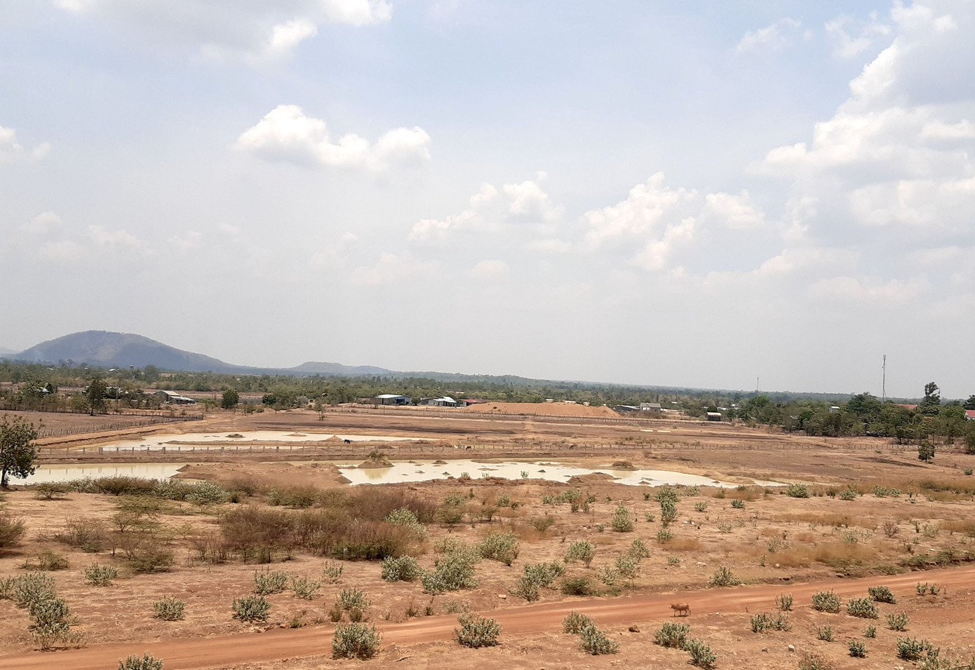 Vùng tưới của thuỷ lợi Ia Mơr