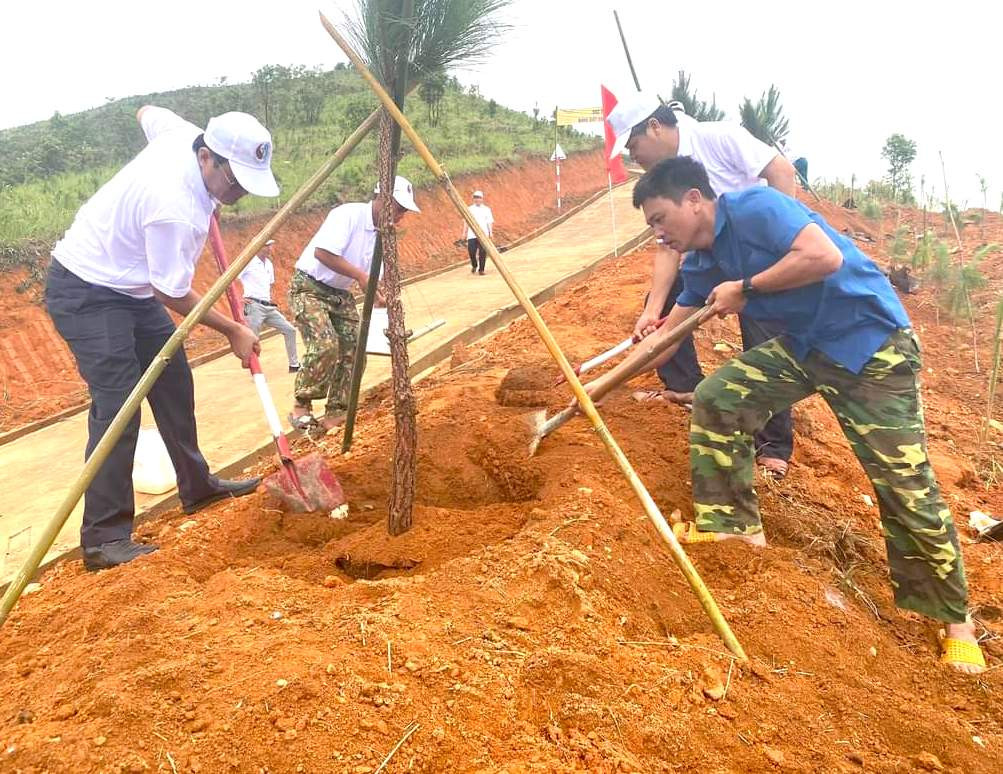 Việc trồng cây sẽ chống xói mòn ở khu di tích lịch sử