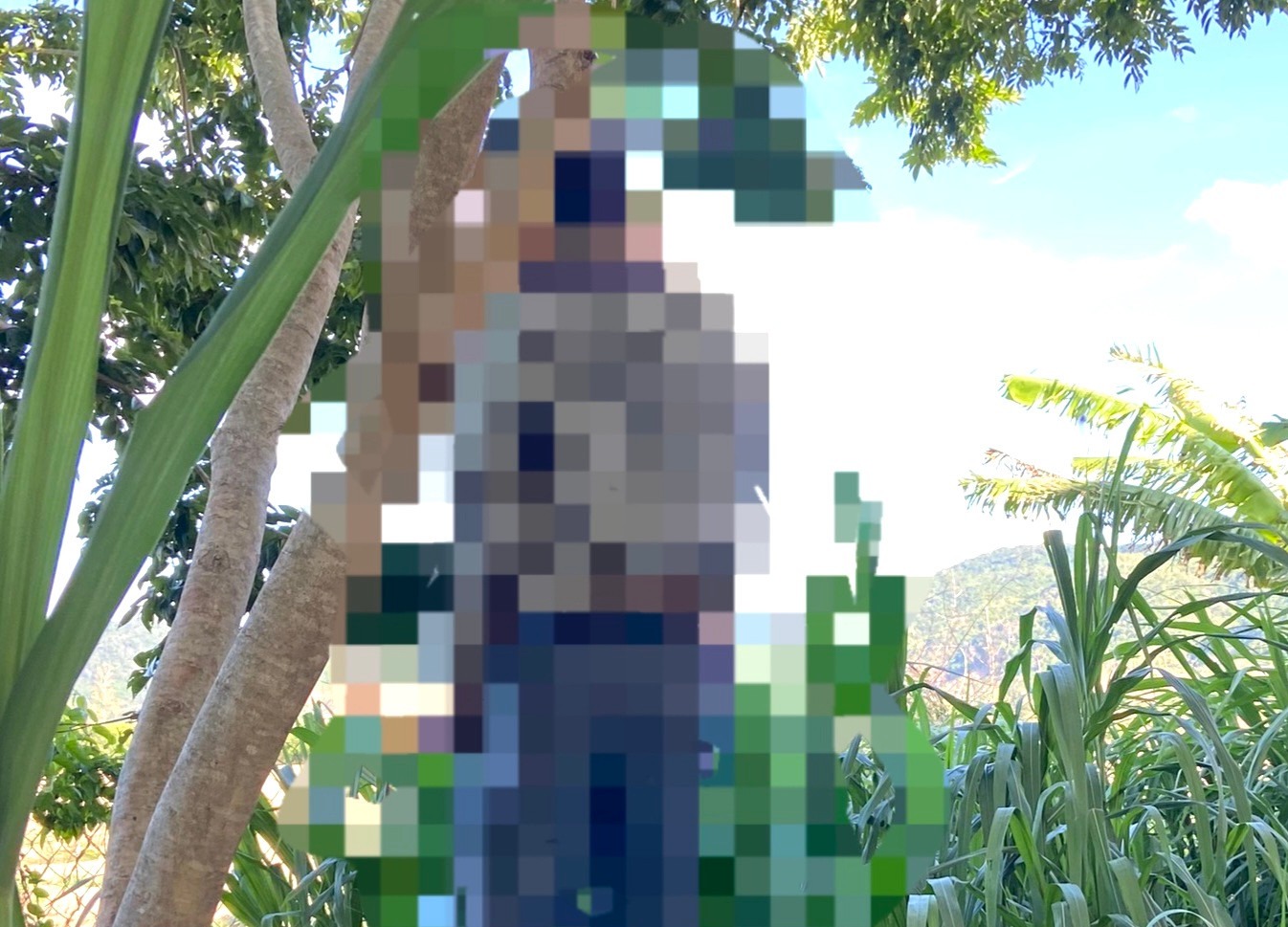 Hiện trường vụ việc Hiện trường vụ việc