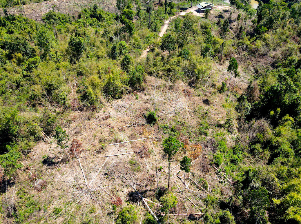 Diện tích rừng bị phá chỉ cách trụ sở UBND huyện Ia H’Drai khoảng 2 cây số.