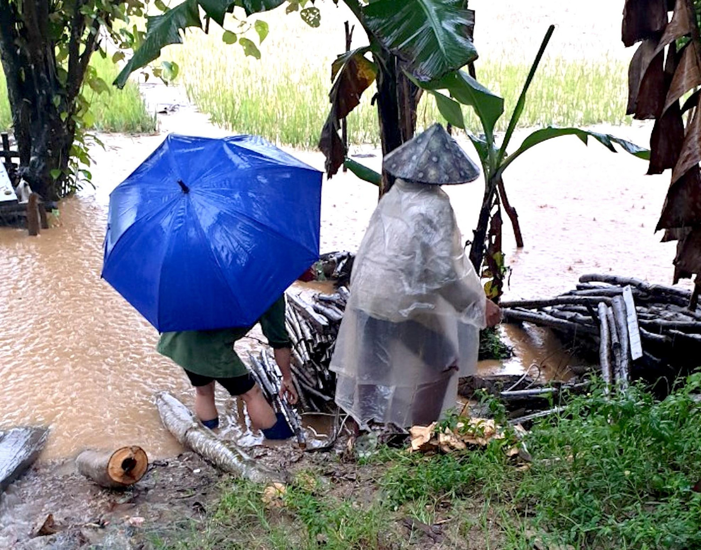 Cũng tại huyện Đăk Glei, theo báo cáo nhanh, hiện có 27 căn nhà bị ảnh hưởng do bão số 8. Ngoài ra, lực lượng chức năng của huyện cũng đã di dời 67 hộ dân trong vùng nguy hiểm đến nơi an toàn.
