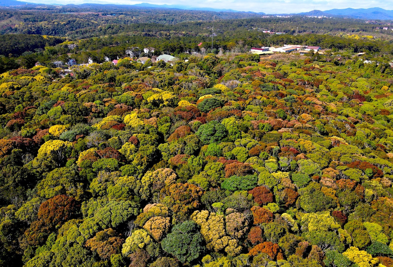 Xây dựng "phố trong rừng" cho Măng Đen là mục tiêu hướng đến của lãnh đạo tỉnh miền núi Kon Tum.