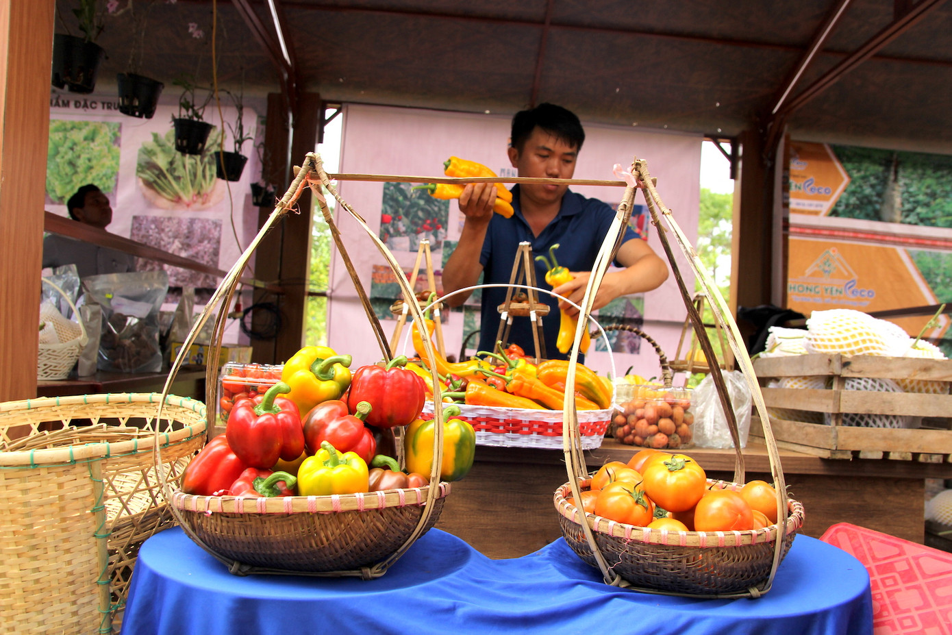Măng Đen có khí hậu trong lành, mát mẻ nên việc trồng các loại hoa quả hữu cơ rất thuận lợi.