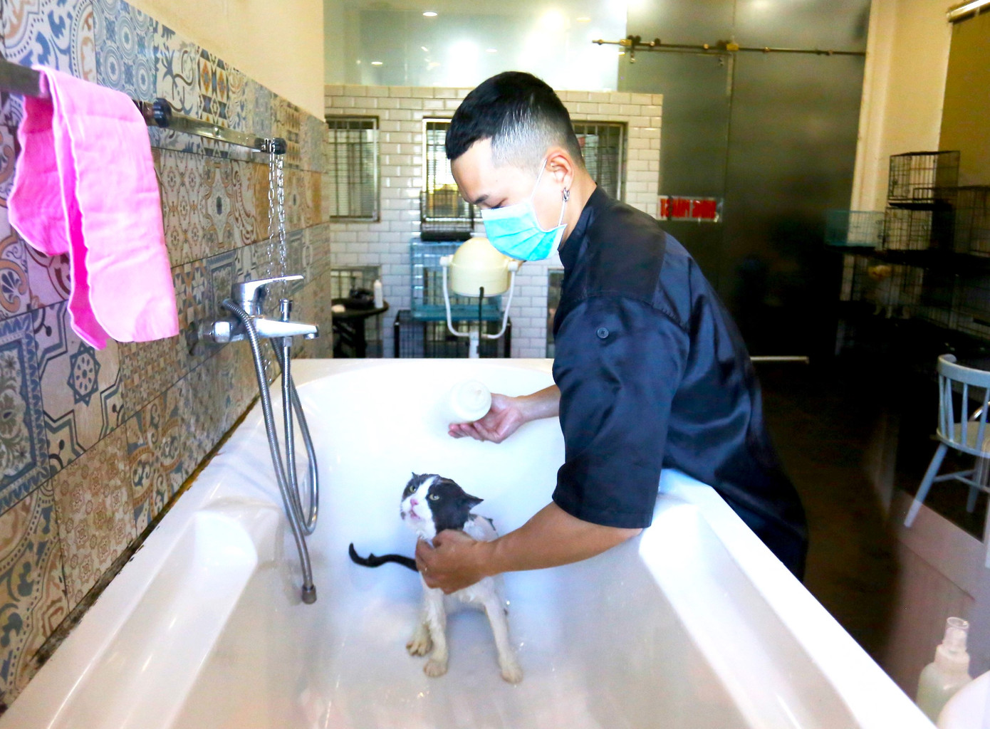 Các chú mèo có bồn tắm riêng tại spa của anh Nguyễn Lê Minh. Các chú mèo có bồn tắm riêng tại spa của anh Nguyễn Lê Minh.