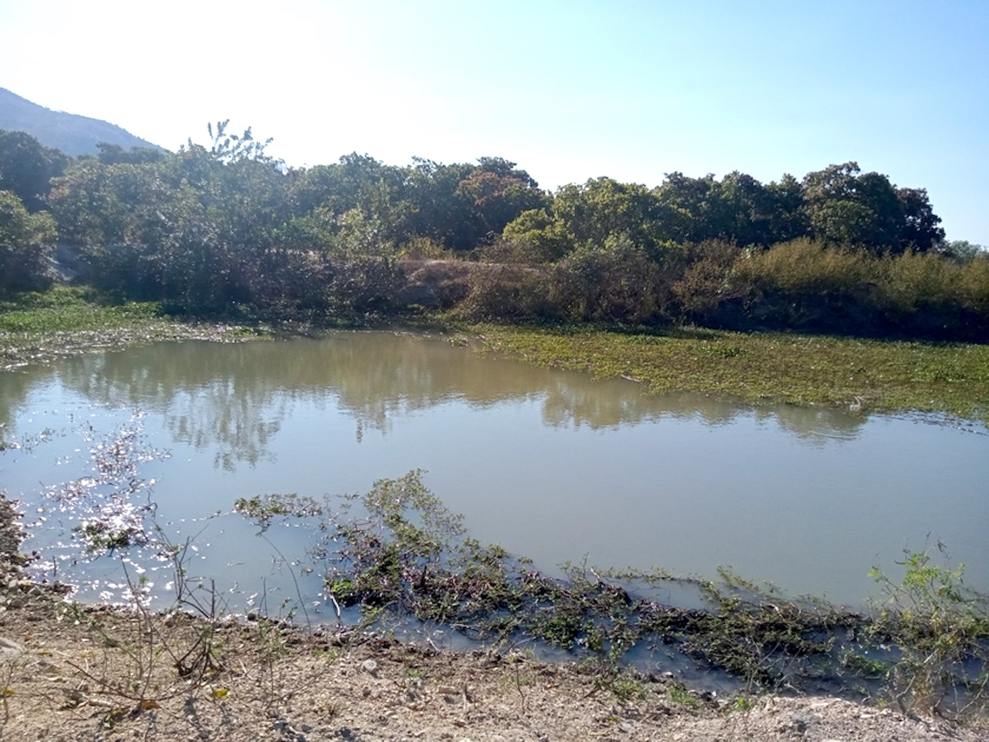 Nơi xảy ra vụ việc Nơi xảy ra vụ việc