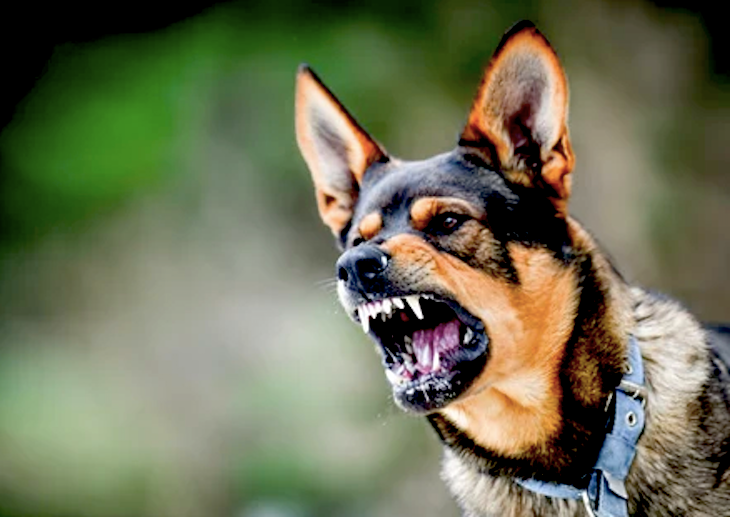 Ảnh minh hoạ. Nguồn: Internet