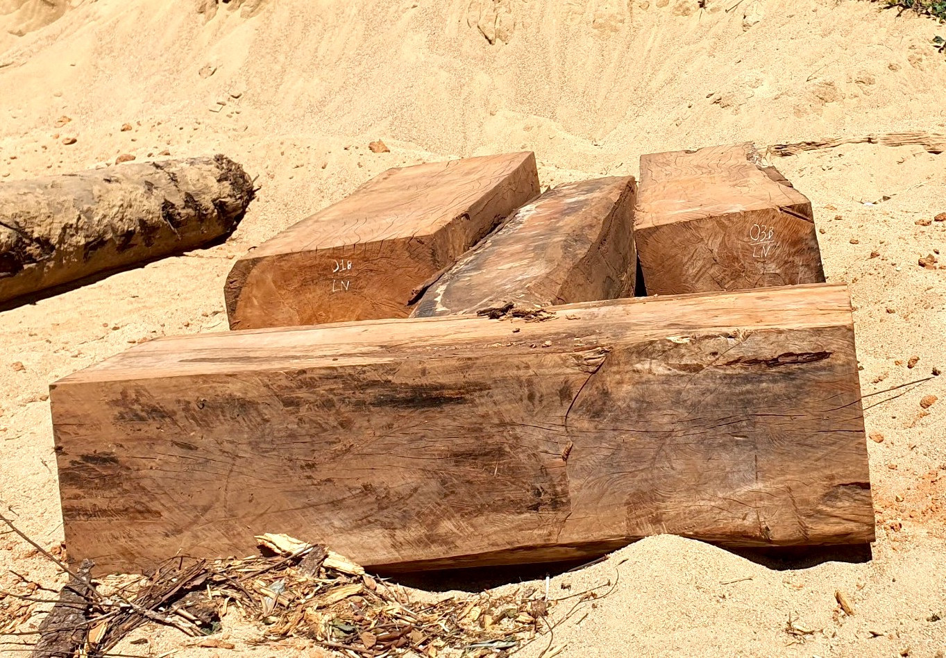 4 lóng gỗ được xẻ hộp. 4 lóng gỗ được xẻ hộp.