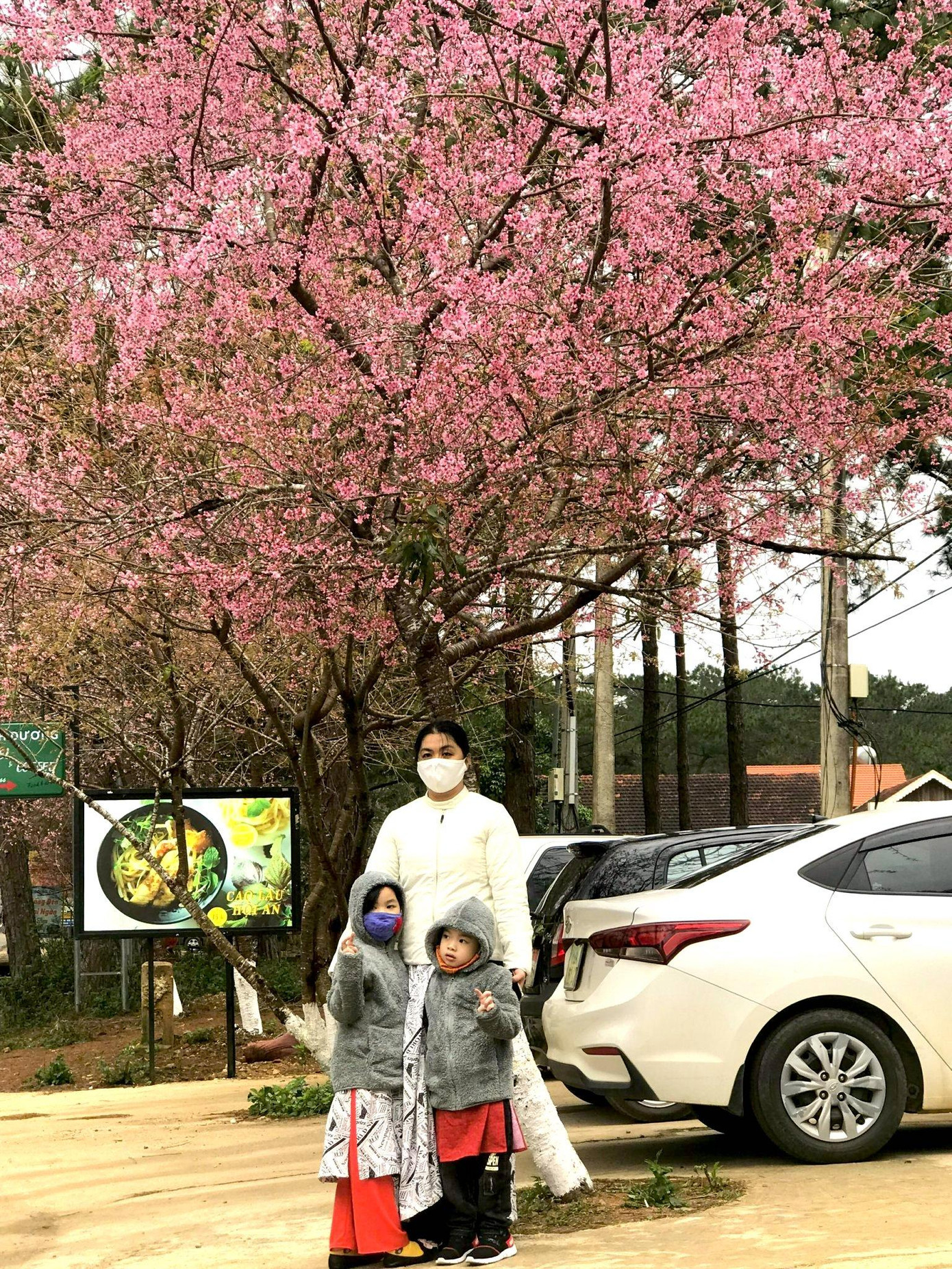 Du khách đến nơi đây không chỉ thưởng thức các món ăn địa phương như nộm hoa chuối rừng, cơm lam gà nướng, rượu cần... mà còn để tận hưởng không khí trong lành của thị trấn vùng cao nguyên Kon Tum. Thời tiết nơi đây dịp này thường dưới 20 độ C nên các du khách đều chuẩn bị sẵn áo lạnh.