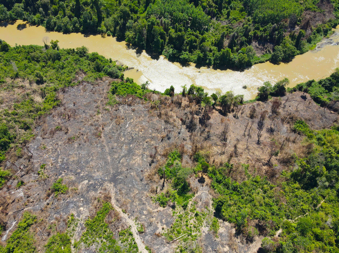 Vị trí rừng mà Hạt Kiểm lâm huyện Ia H’Drai chưa đưa vào báo cáo.