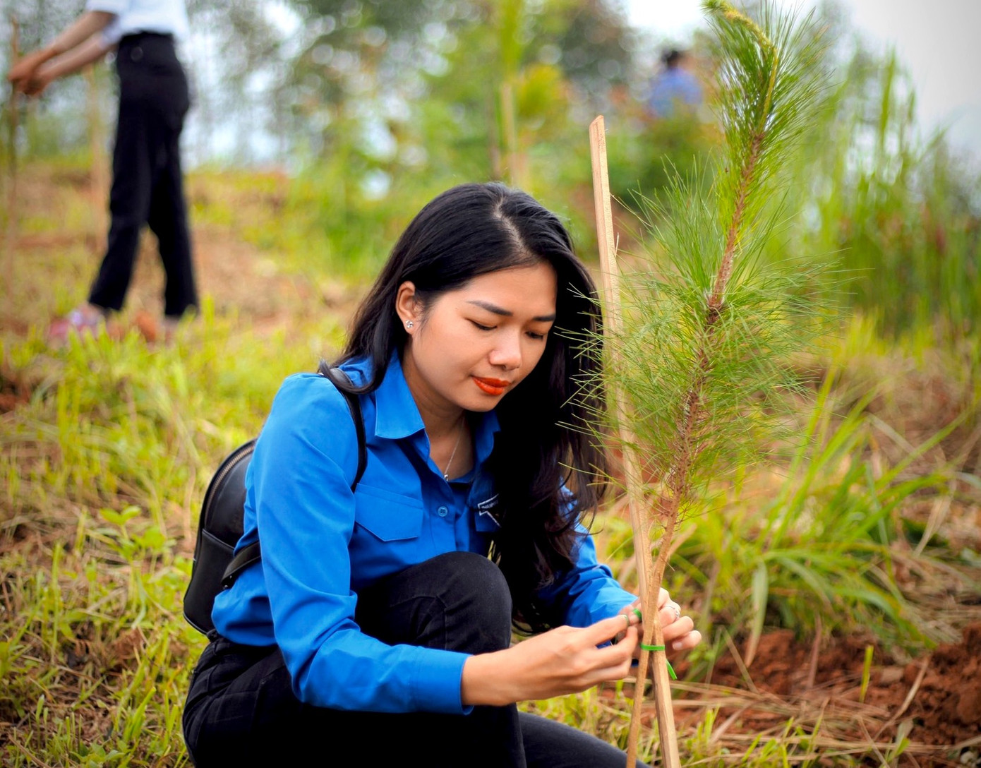 Thanh niên là lực lượng cốt lõi trồng 2.555 cây xanh ở di tích lịch sử