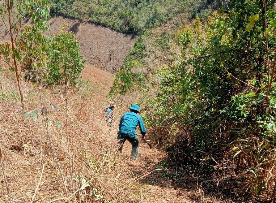 Lực lượng chức năng địa phương phát thực bì ngăn đám cháy lan rộng Lực lượng chức năng địa phương phát thực bì ngăn đám cháy lan rộng