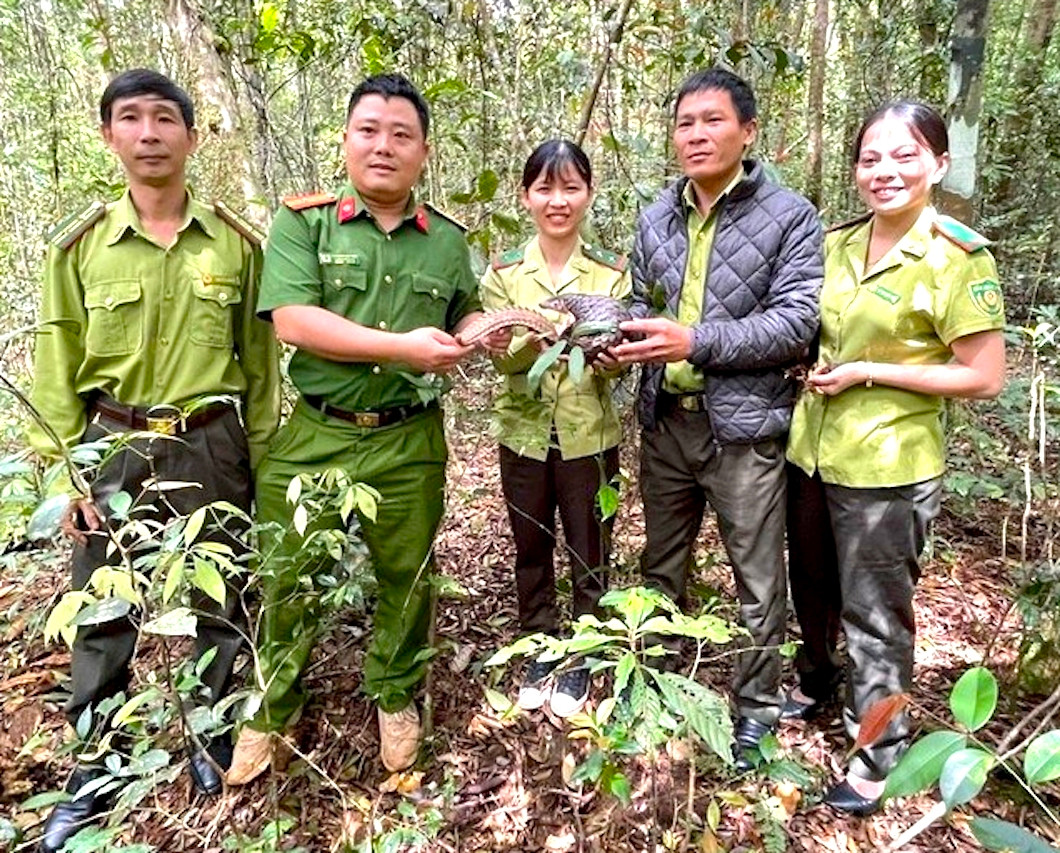 Lực lượng công an, kiểm lâm cùng nhau thả cá thể tê tê vàng về với tự nhiên