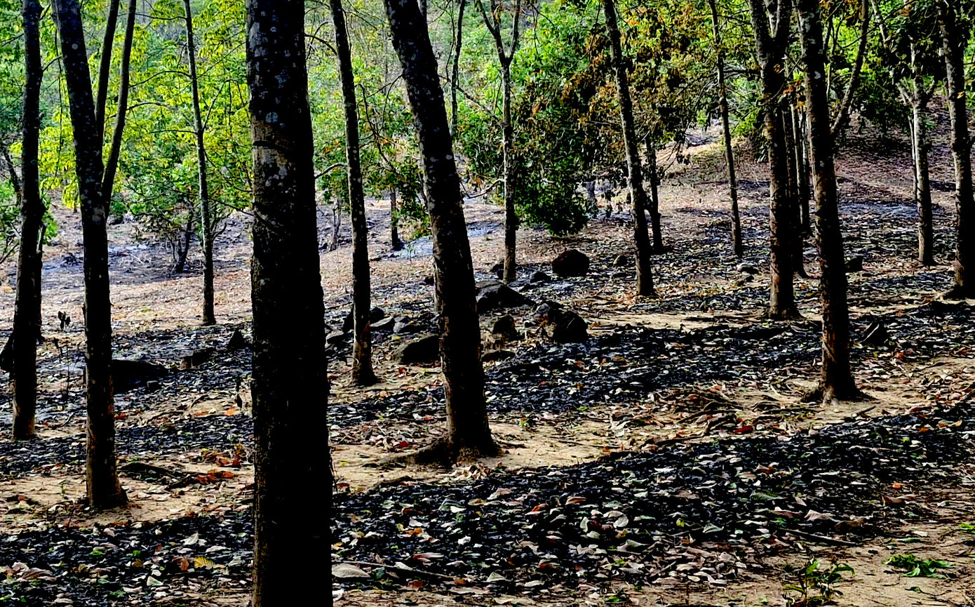 Cao su bị cháy sẽ chết hoặc giảm chất lượng