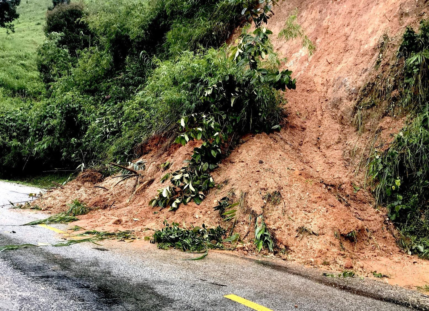 Cây cối gãy đổ, sạt lở trên nhiều tuyến đường trên địa bàn huyện Tu Mơ Rông Cây cối gãy đổ, sạt lở trên nhiều tuyến đường trên địa bàn huyện Tu Mơ Rông