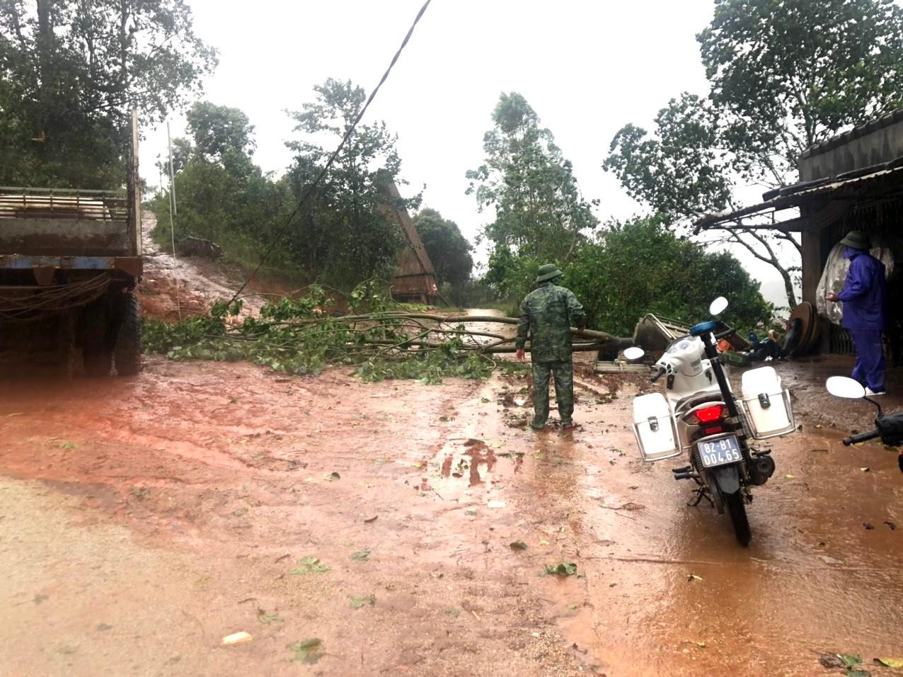 Cây cối gãy đổ, sạt lở trên nhiều tuyến đường trên địa bàn huyện Tu Mơ Rông Cây cối gãy đổ, sạt lở trên nhiều tuyến đường trên địa bàn huyện Tu Mơ Rông