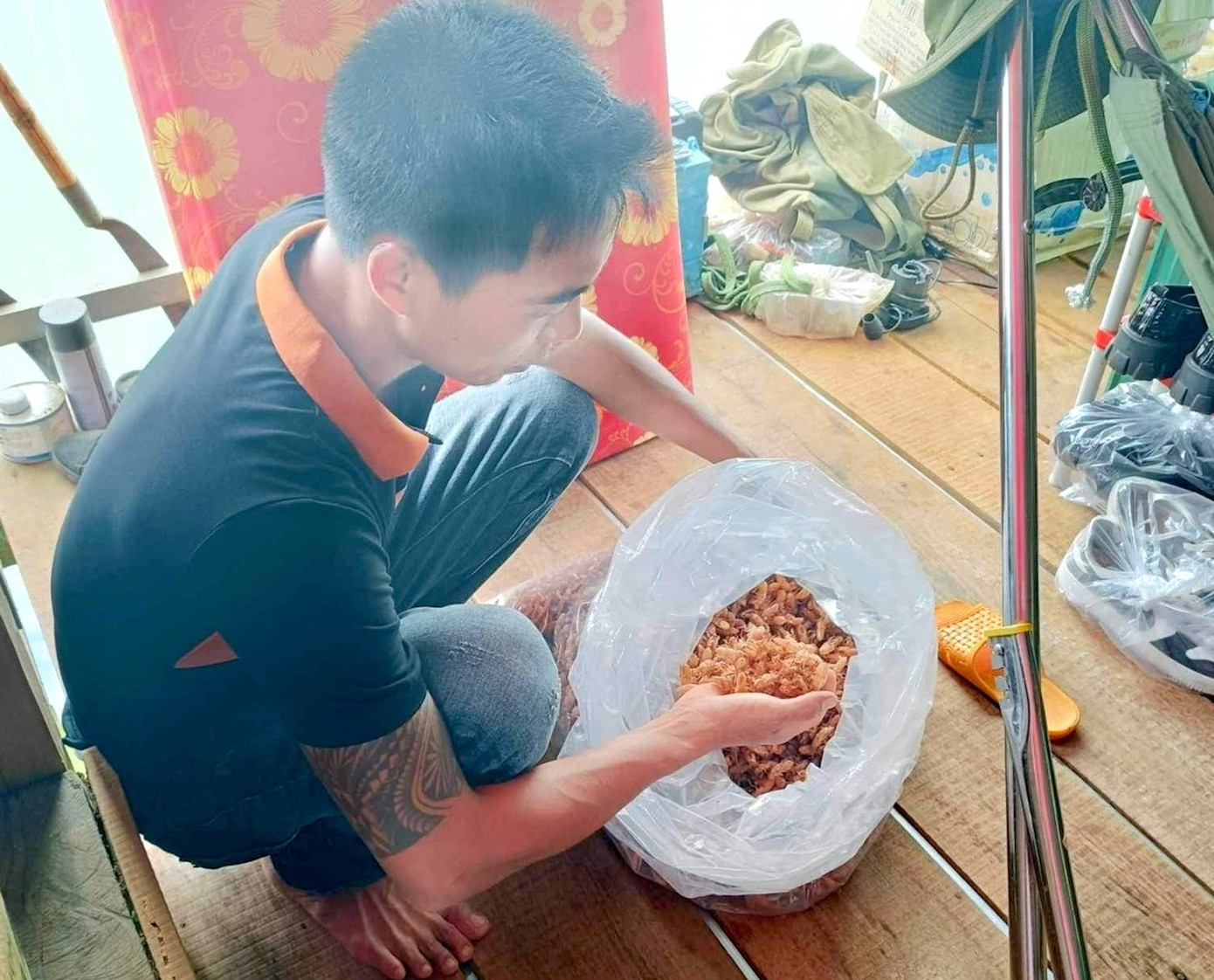 Xác ve sầu mùa này khá nhiều ở các vườn điều, cao su, hoặc trong rừng