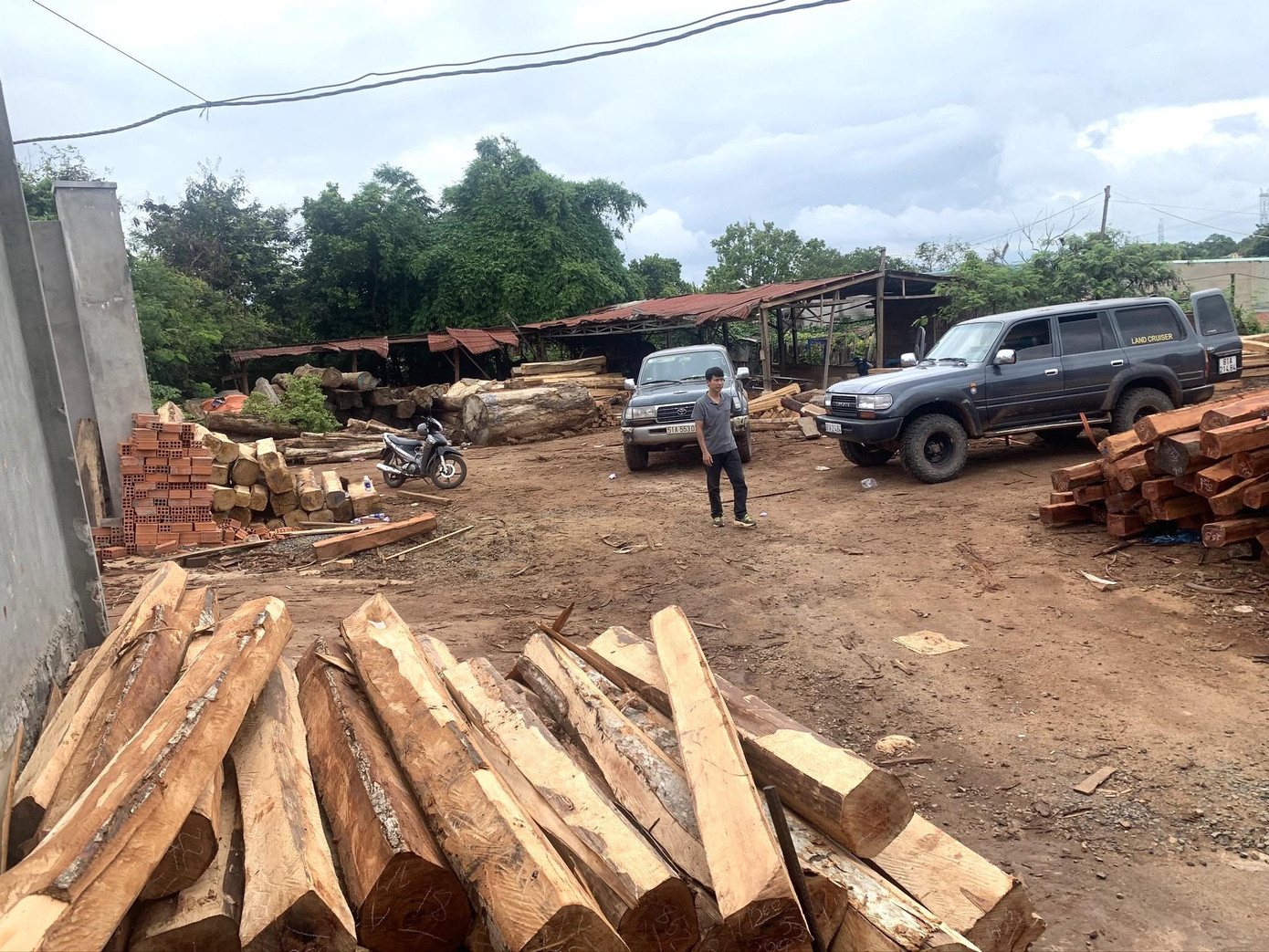 Thời điểm bị bắt, trong kho xưởng Doanh nghiệp tư nhân Hùng Ny có gần 200m3 gỗ lậu cùng các ô tô để vận chuyển gỗ trái phép Thời điểm bị bắt, trong kho xưởng Doanh nghiệp tư nhân Hùng Ny có gần 200m3 gỗ lậu cùng các ô tô để vận chuyển gỗ trái phép