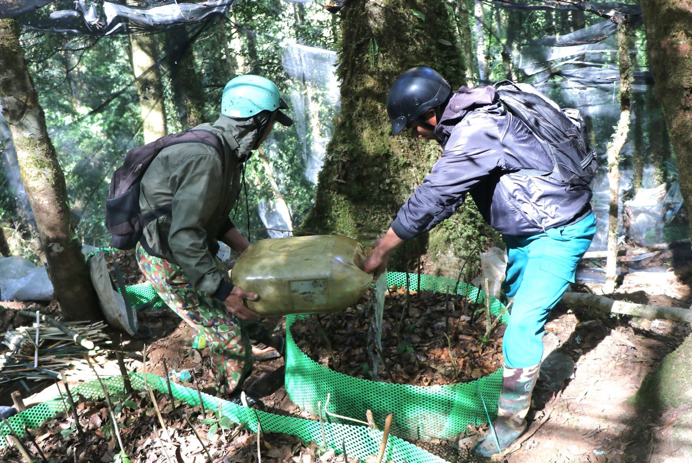 Việc gánh nước khoảng cách xa, hàng cây số nên chủ yếu do thanh niên đảm nhận Việc gánh nước khoảng cách xa, hàng cây số nên chủ yếu do thanh niên đảm nhận