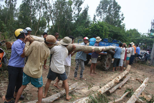 Người dân xã Ô Long Vĩ chặt cây ngăn lũ