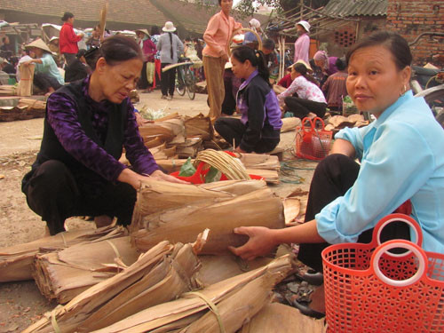 Bán mo tre để làm nón không phải công việc chính nhưng nó lại mang thu nhập chính cho chị Đường (xã Phương Trung, huyện Thanh Oai, Hà Nội). Mỗi phiên chợ chị bán được 1000 đến 2000 cái mo tre.(giá: 20 nghìn được 100 cái mo tre, nó làm được 15 cái nón).