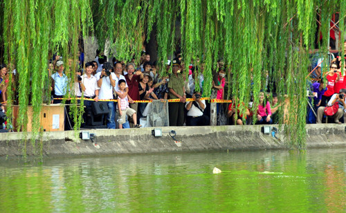 Hà Nội vào hội ngàn năm ảnh 20