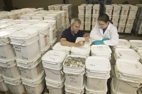 Những 'con tàu vàng' chứa kho báu khổng lồ dưới đáy đại đương ảnh 12