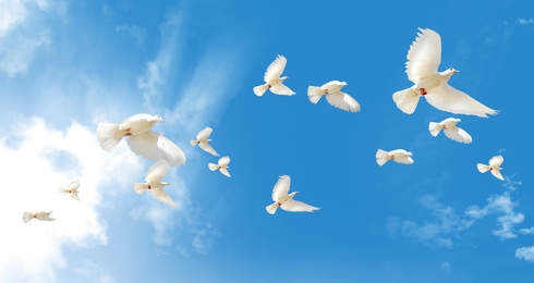 Kế hoạch cho sự ra đi – Món quà của sự an tâm. Ảnh minh họa.