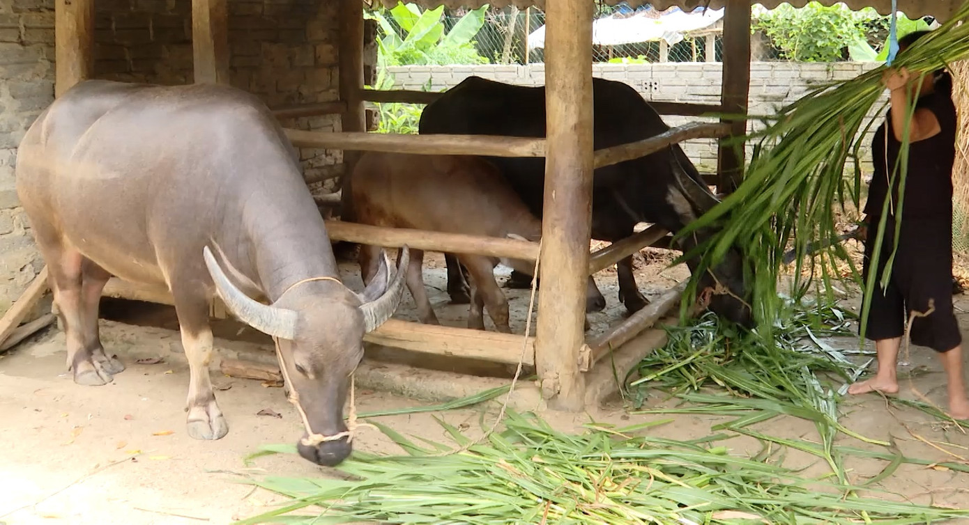 Người dân tiếp cận nguồn vốn từ các dự án của Chương trình mục tiêu Quốc gia giảm nghèo nhanh và bền vững