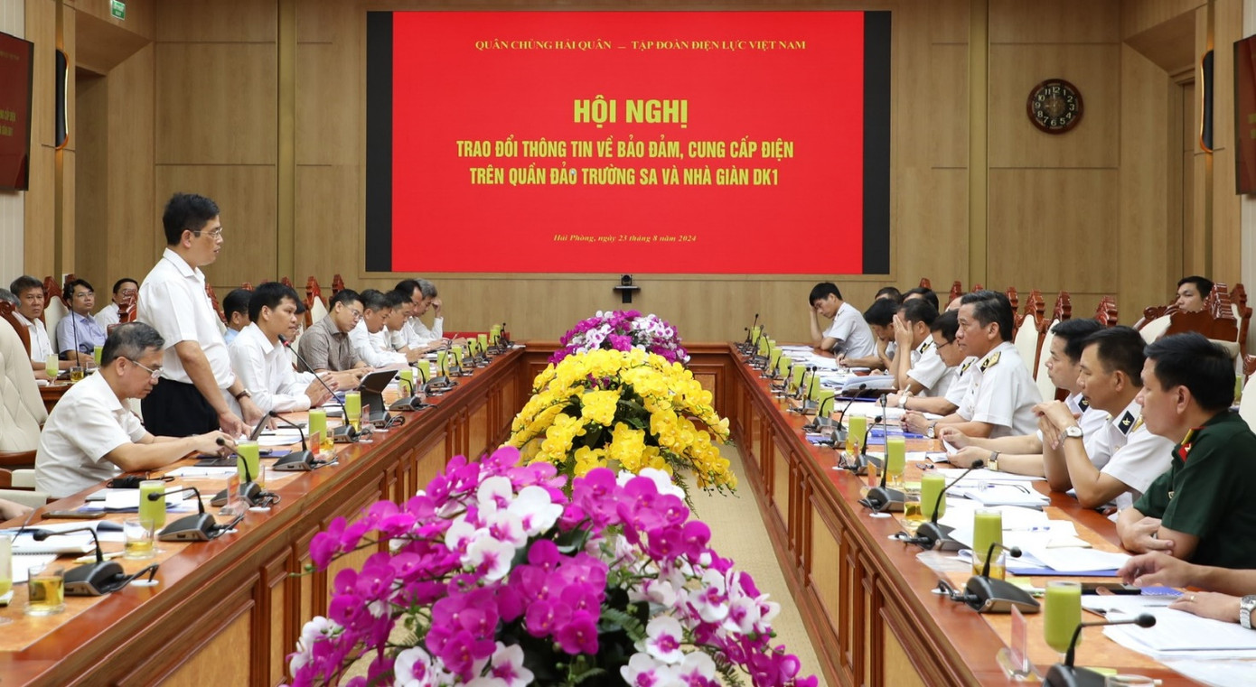 Ông Võ Quang Lâm – Phó tổng giám đốc EVN phát biểu