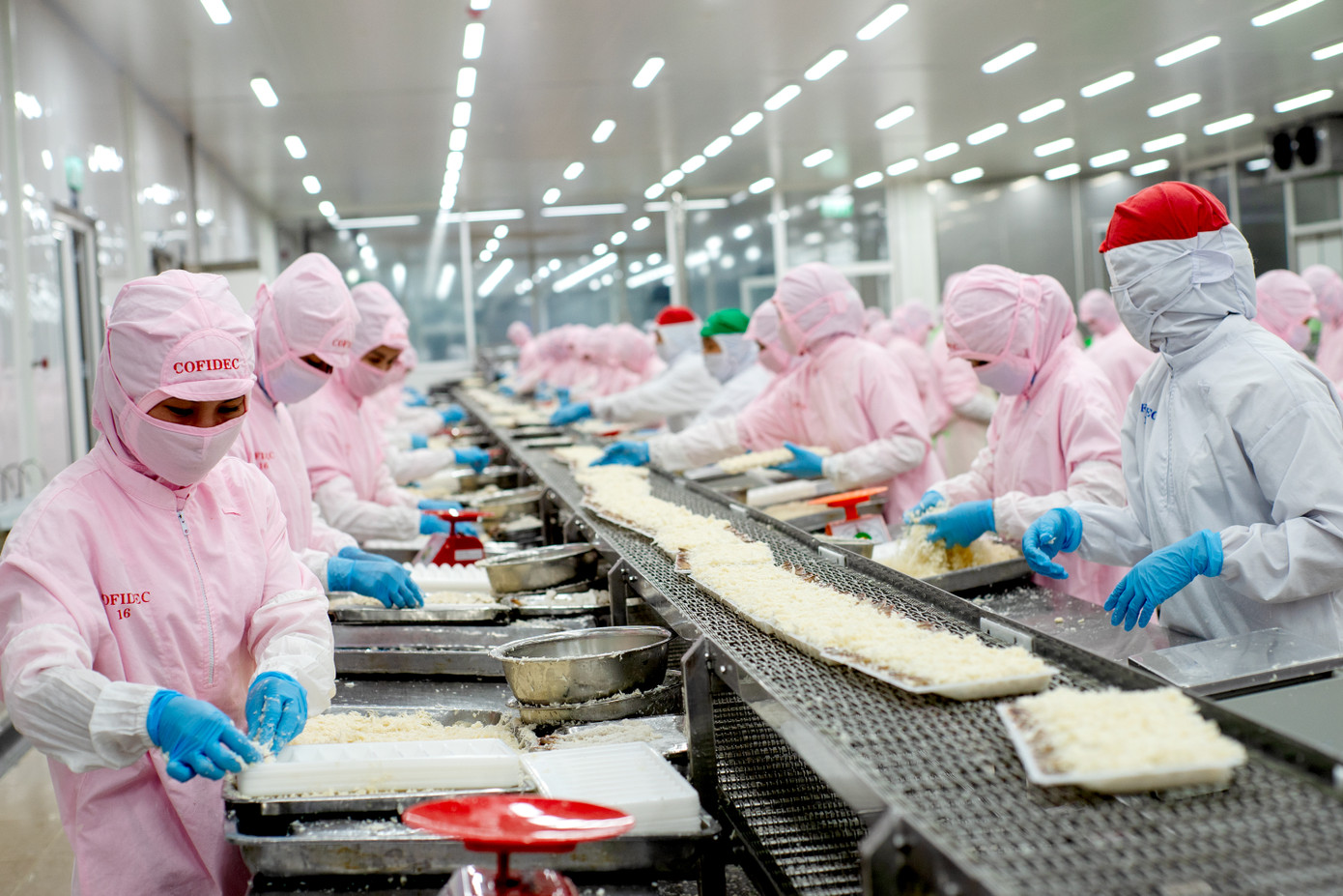 Dây chuyền tẩm bột tôm - xưởng thủy sản công ty Phát triển Kinh tế Duyên hải (Cofidec) Ảnh: SATRA Dây chuyền tẩm bột tôm - xưởng thủy sản công ty Phát triển Kinh tế Duyên hải (Cofidec) Ảnh: SATRA