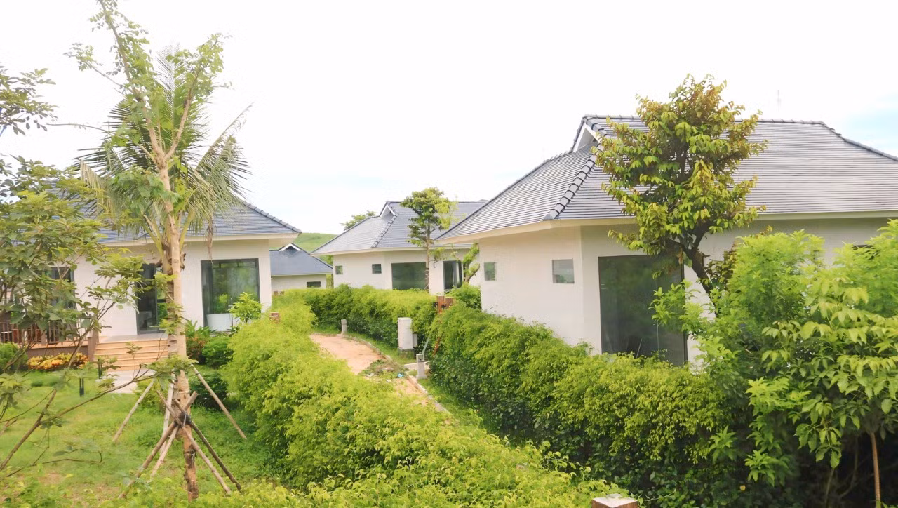 Viên ngọc lục bảo giữa núi rừng Lam Kinh
