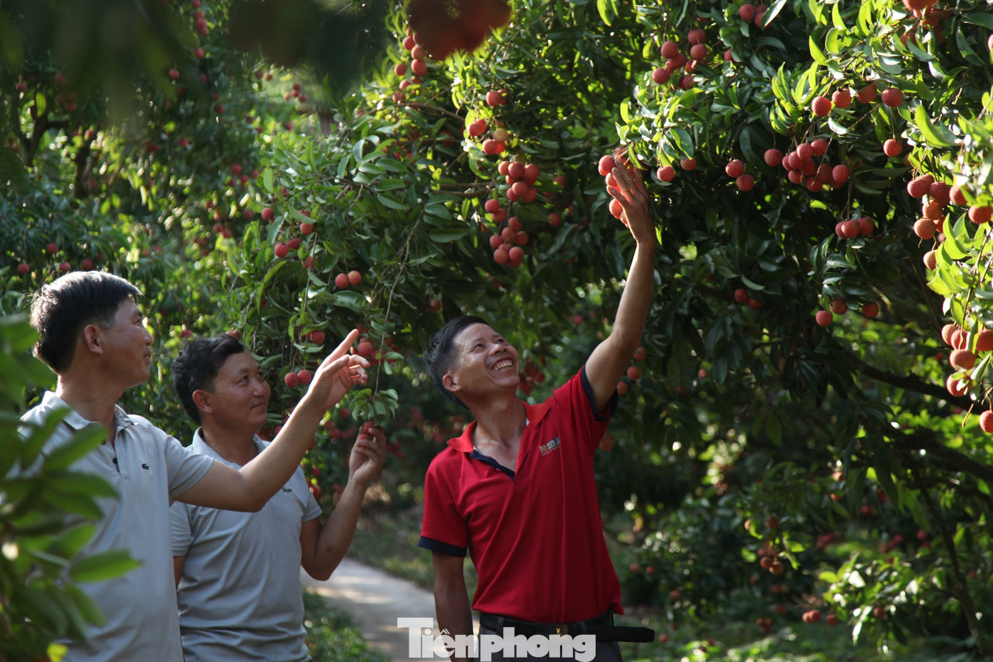 Tại huyện Lục Ngạn, nhiều mô hình sản xuất hiệu quả giúp người dân xây dựng nông thôn mới