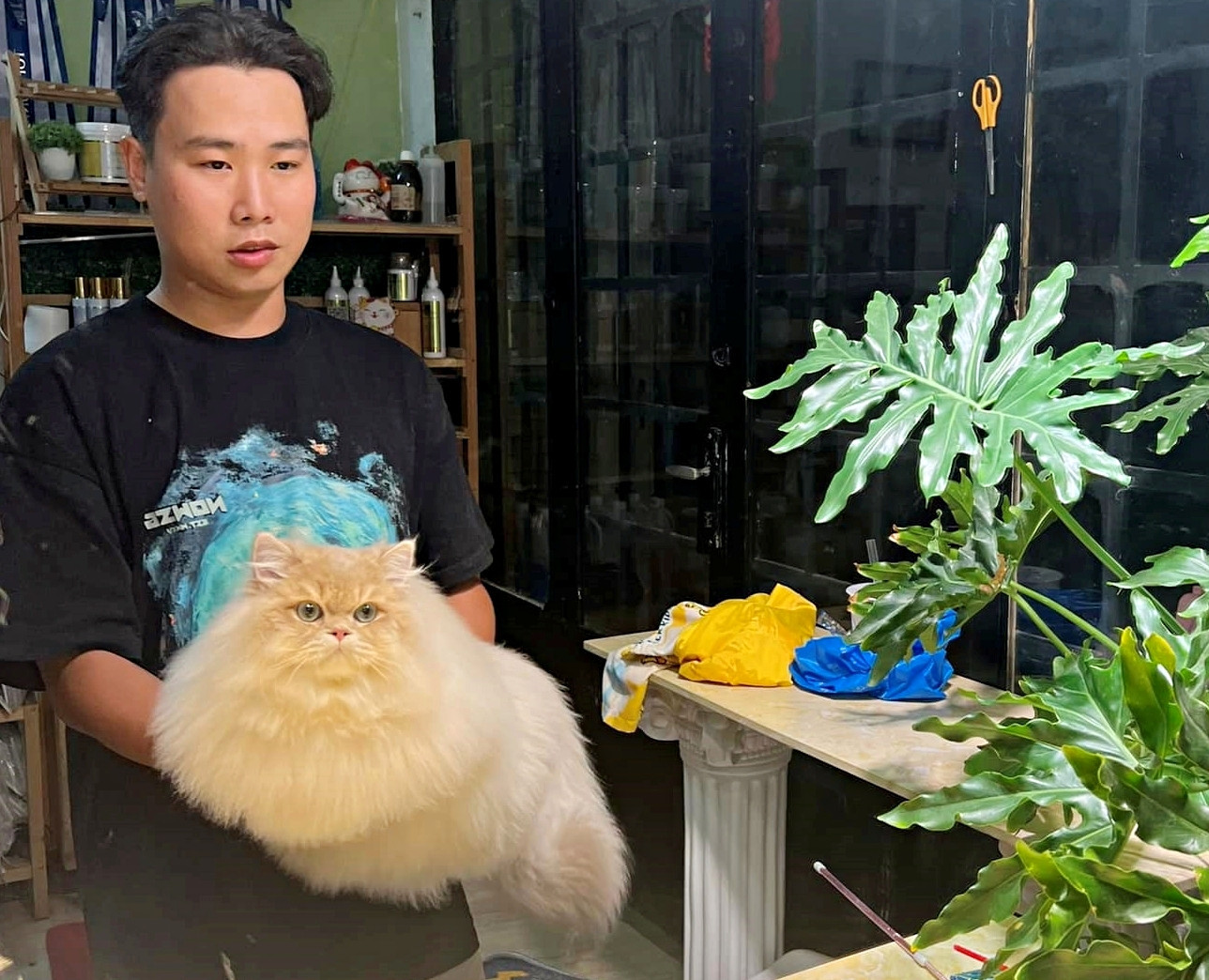 Duy đến với công việc nhân giống, chăm sóc, đưa mèo "quý tộc" tham gia các cuộc thi sắc đẹp một cách tình cờ. Ảnh: Nhân vật cung cấp