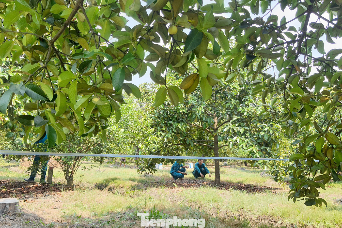 Lực lượng chức năng căng dây phong tỏa, ngăn người dân đến gần để phục vụ công tác khám nghiệm hiện trường (Ảnh: Hoàng Thuận). Lực lượng chức năng căng dây phong tỏa, ngăn người dân đến gần để phục vụ công tác khám nghiệm hiện trường (Ảnh: Hoàng Thuận).