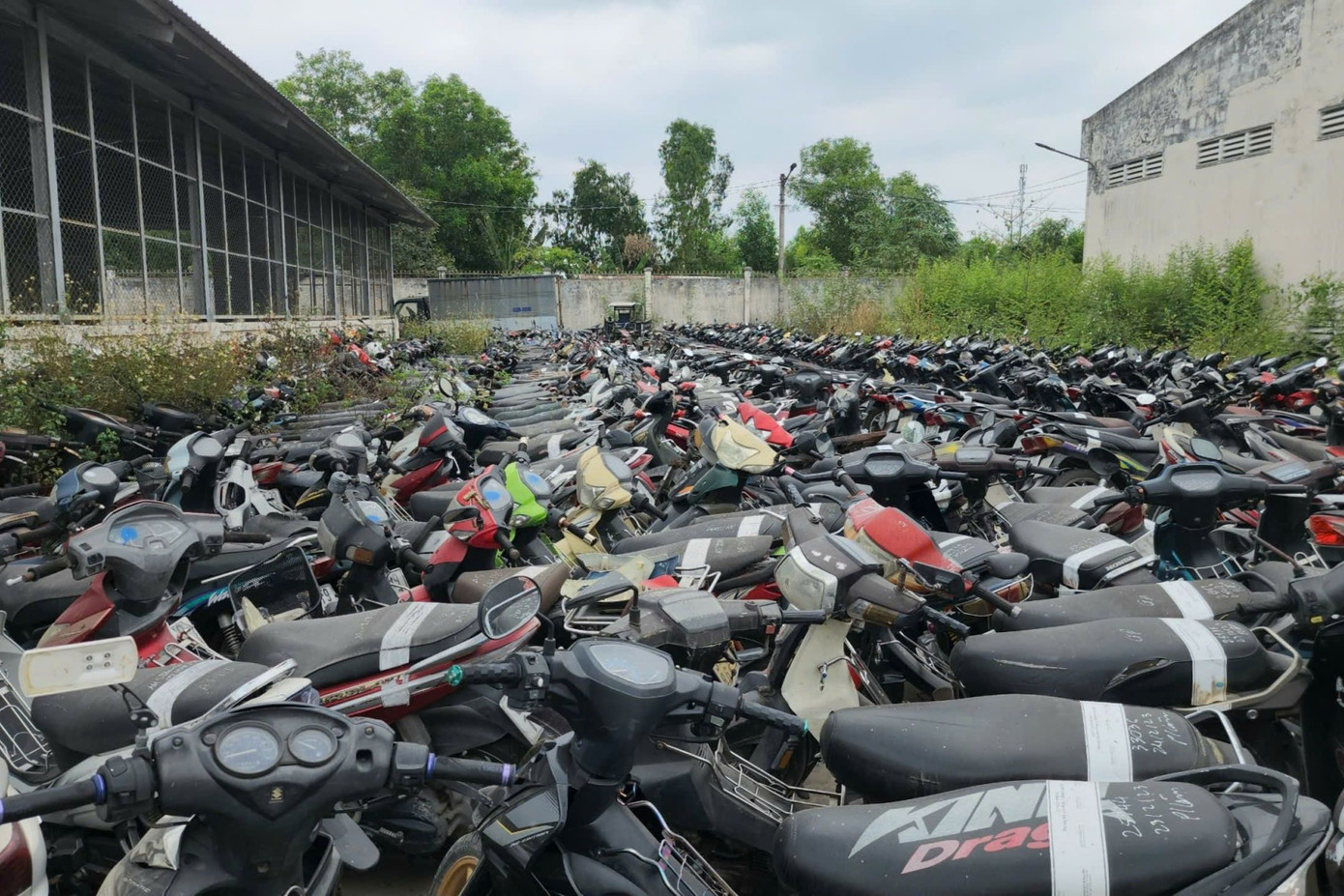 Tài sản, tang vật vi phạm bị cơ quan chức năng bắt giữ đều được bán đấu giá thông qua các trung tâm dịch vụ bán đấu giá tài sản được Nhà nước cấp phép hoạt động. Ảnh: H.T. Tài sản, tang vật vi phạm bị cơ quan chức năng bắt giữ đều được bán đấu giá thông qua các trung tâm dịch vụ bán đấu giá tài sản được Nhà nước cấp phép hoạt động. Ảnh: H.T.