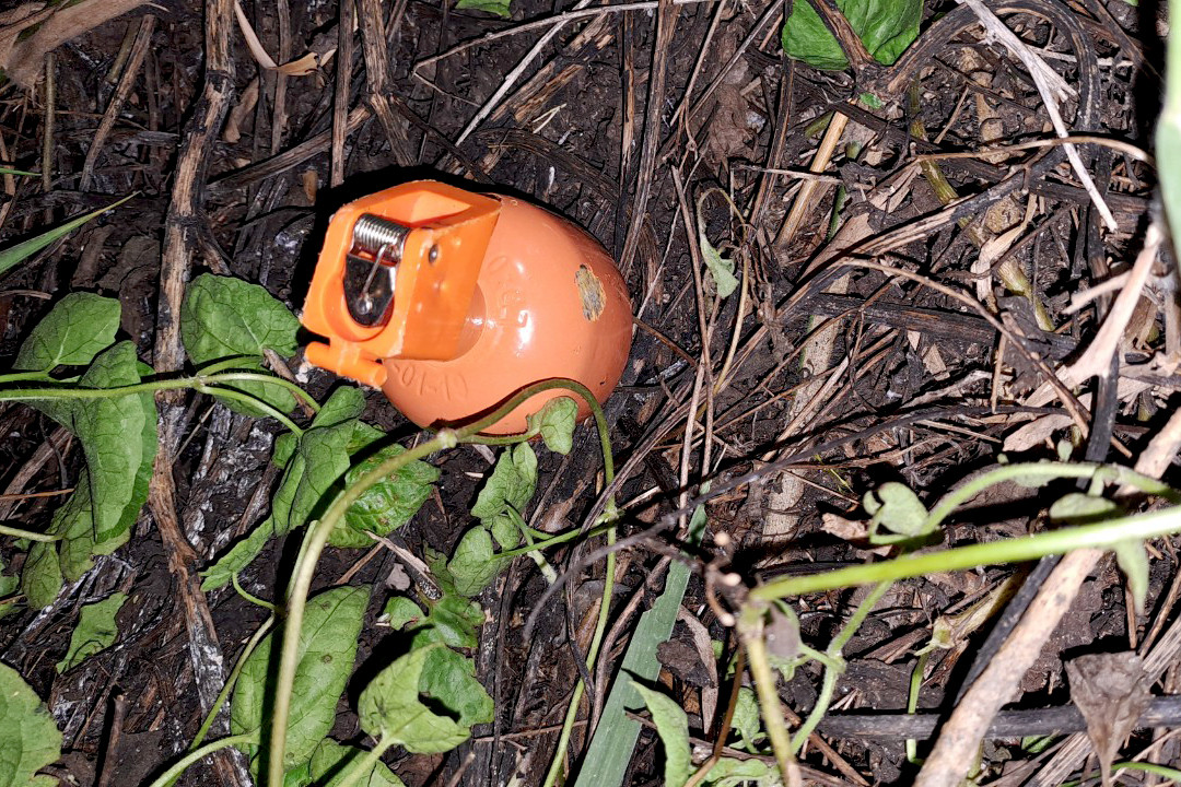 Quả lựu đạn huấn luyện được người dân tìm thấy ở hiện trường (Ảnh: Người dân cung cấp).