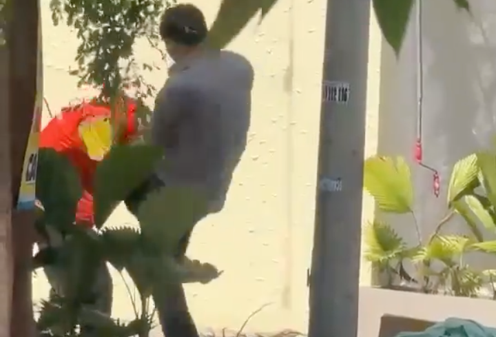 Anh P. bị người đàn ông dùng gối tấn công vào vùng mặt. Ảnh cắt từ clip. Anh P. bị người đàn ông dùng gối tấn công vào vùng mặt. Ảnh cắt từ clip.