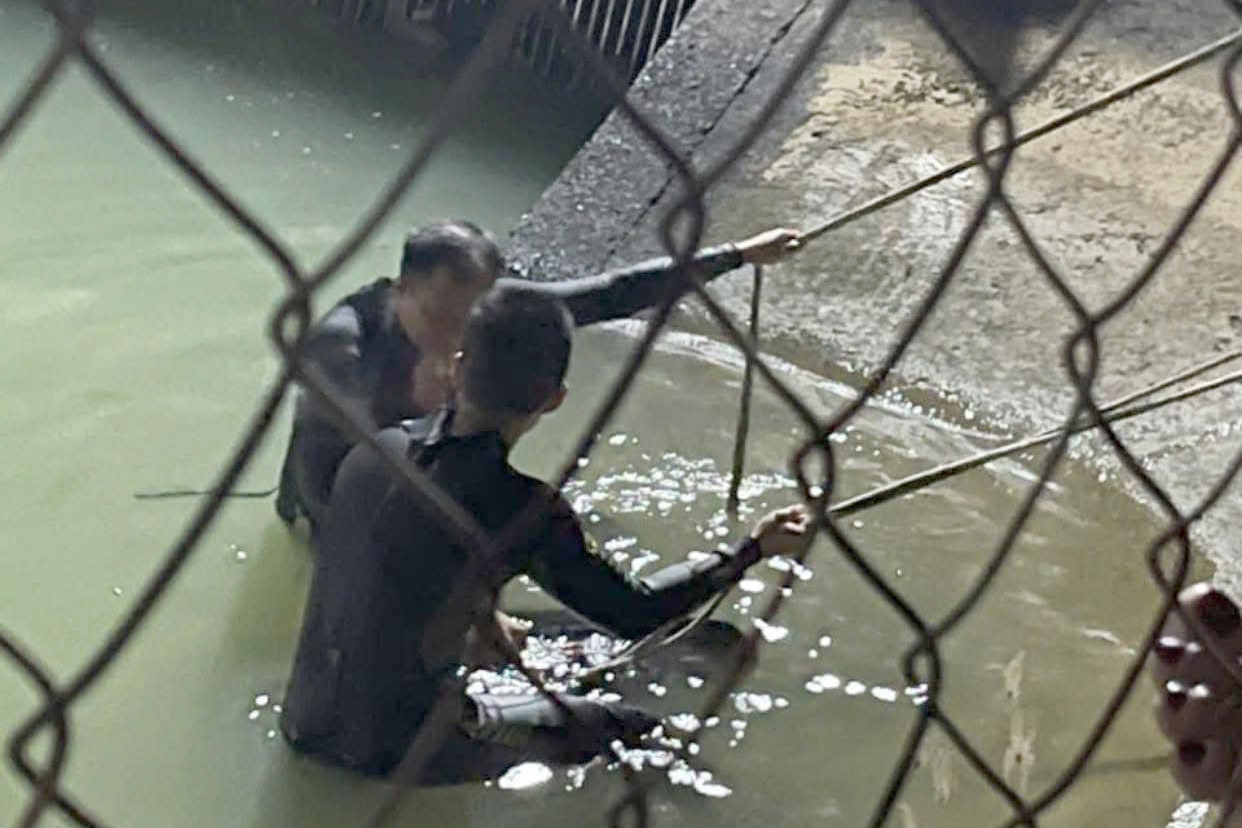 Người nhái lặn tìm các nạn nhân. Ảnh: C.A.