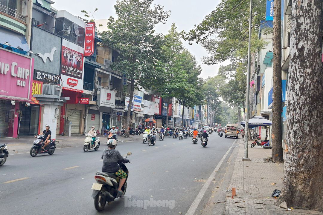 Vị trí xảy ra vụ nhánh cây rơi. Ảnh: Hoàng Thuận