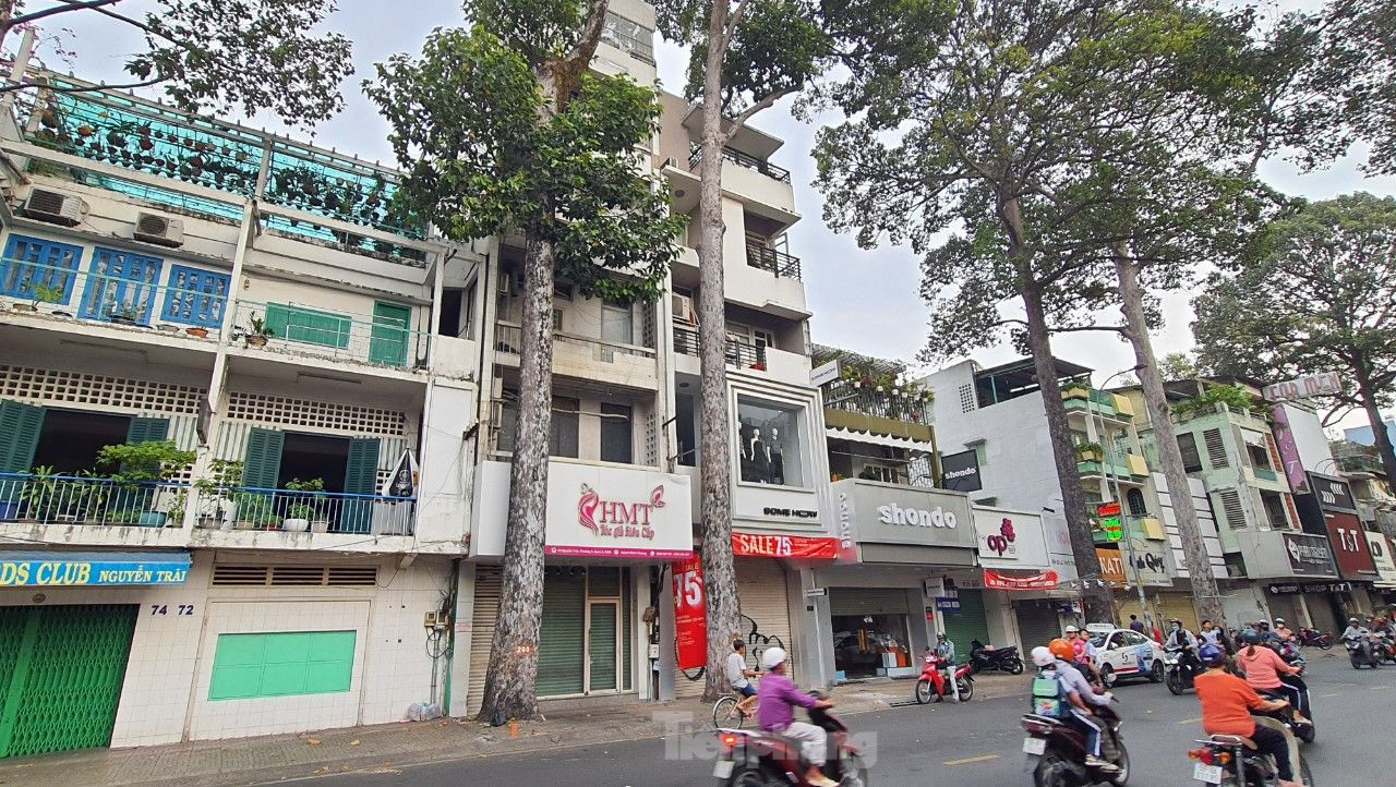 Vị trí xảy ra vụ việc có nhiều cây xanh cao hàng chục mét. Ảnh: Hoàng Thuận