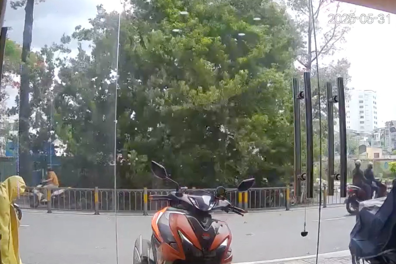 Camera ghi lại cảnh cây bồ đề đổ ập xuống đường. Ảnh cắt từ clip.