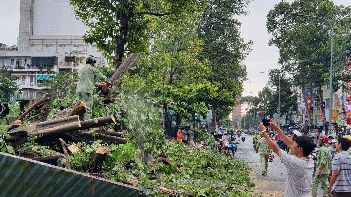 Lực lượng chức năng cắt tỉa, thu dọn hiện trường. Ảnh: Hoàng Thuận.