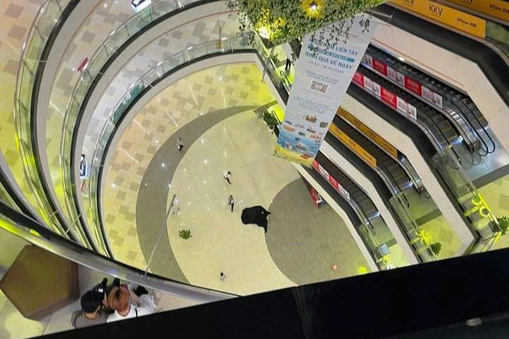 Hiện trường xảy ra vụ việc. Ảnh: C.A. Hiện trường xảy ra vụ việc. Ảnh: C.A.