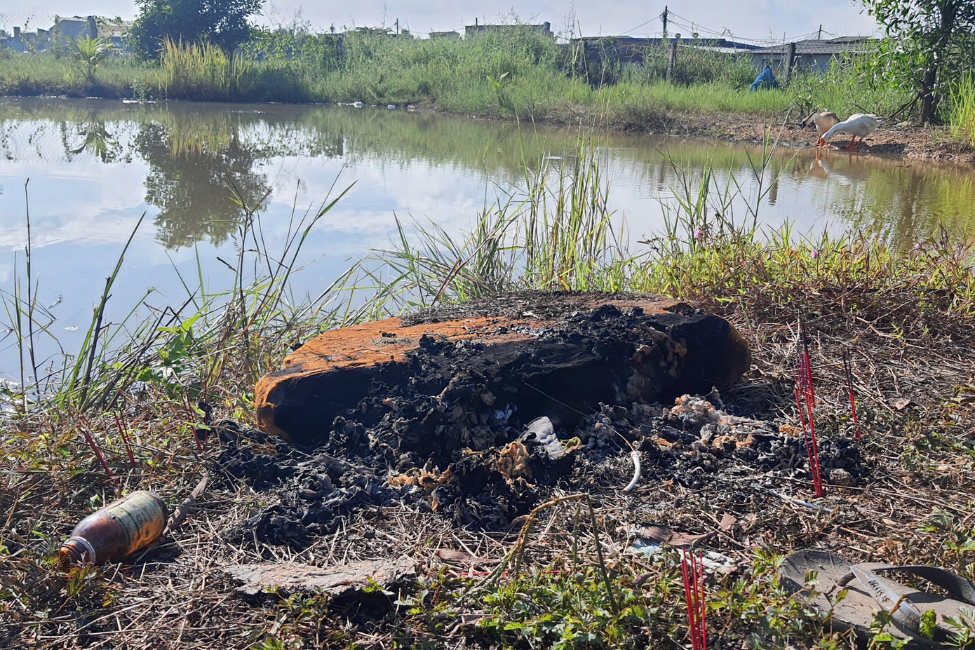 Ao nước xảy ra vụ việc. Ảnh: Hoàng Thuận