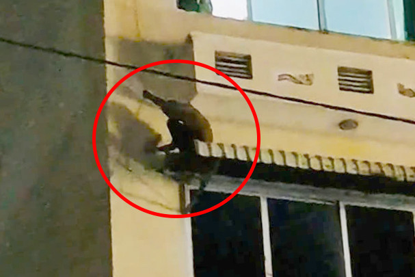 Đối tượng Tuấn trèo qua cửa sổ và núp trên mái che bằng tôn bên ngoài của khách sạn. Ảnh: A.X.