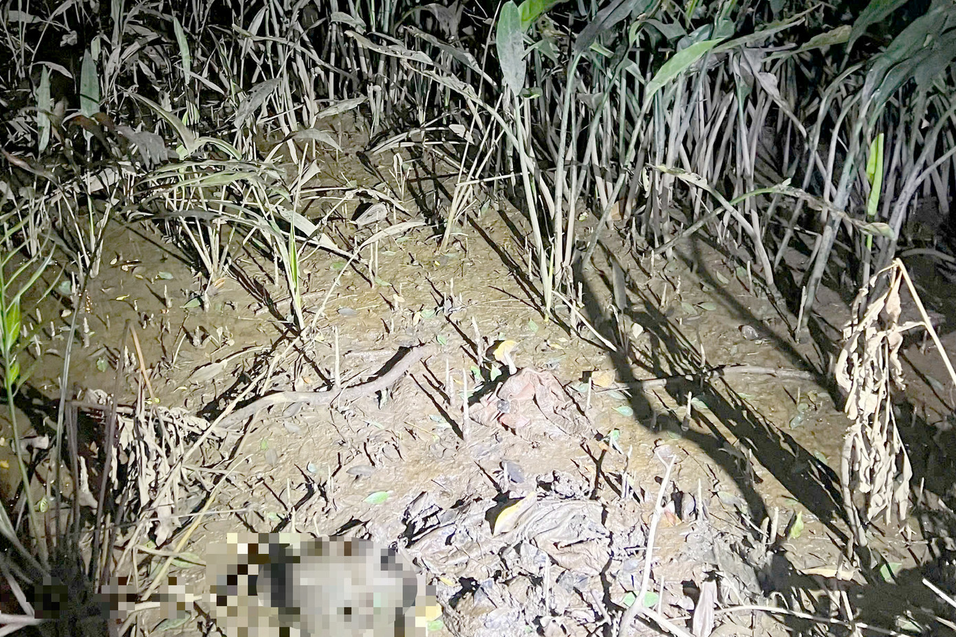 Vị trí phát hiện bộ xương người. Ảnh: A.X. Vị trí phát hiện bộ xương người. Ảnh: A.X.