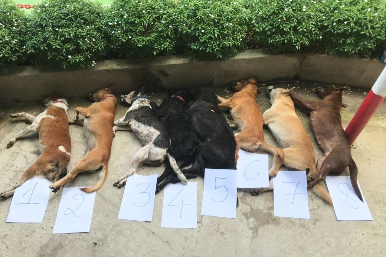 Tang vật vụ án. Ảnh: Công an cung cấp. Tang vật vụ án. Ảnh: Công an cung cấp.