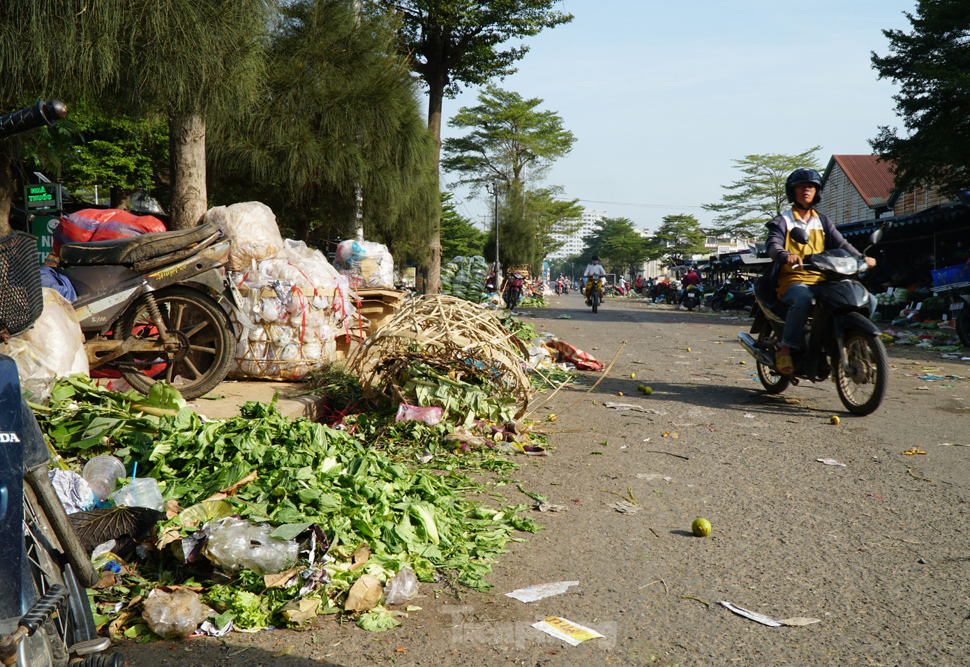 Ông Nguyễn Bình Phương, Giám đốc bộ phận Kinh doanh dịch vụ chợ ĐMNS Thủ Đức cho biết, sau khi báo Tiền Phong phản ánh, đơn vị đã rà soát và xác định được danh tính hơn 10 người thường xuyên đến chợ nhặt rác.